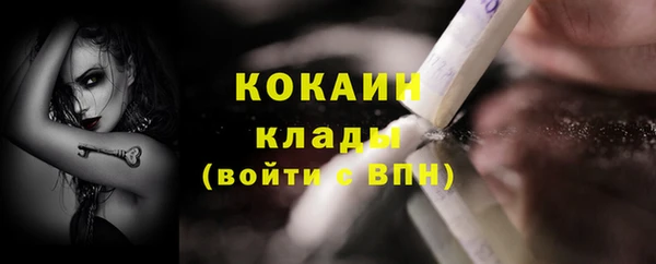 mdpv Вяземский