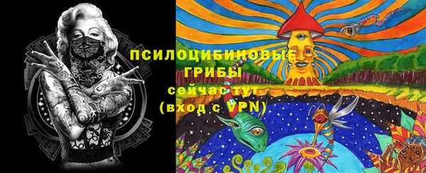 mdpv Вяземский
