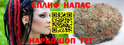 ГАЛЛЮЦИНОГЕННЫЕ ГРИБЫ Балахна