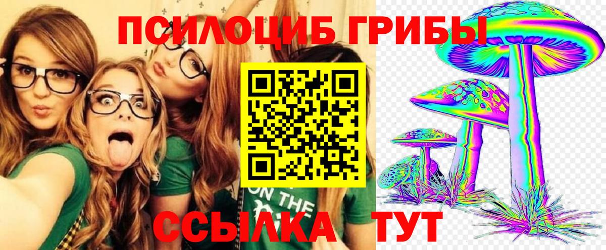 Псилоцибиновые грибы мицелий  дарнет шоп  Богданович 