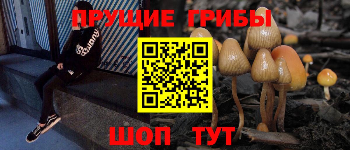 Псилоцибиновые грибы ЛСД Богданович