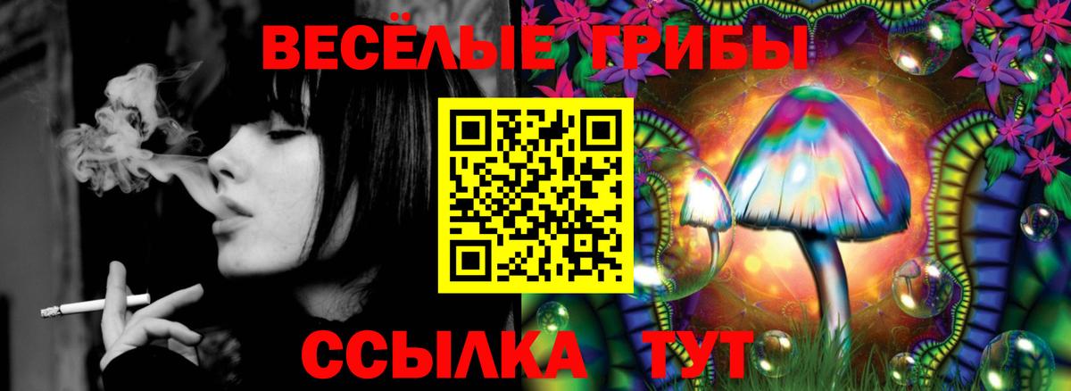 Псилоцибиновые грибы MAGIC MUSHROOMS Богданович