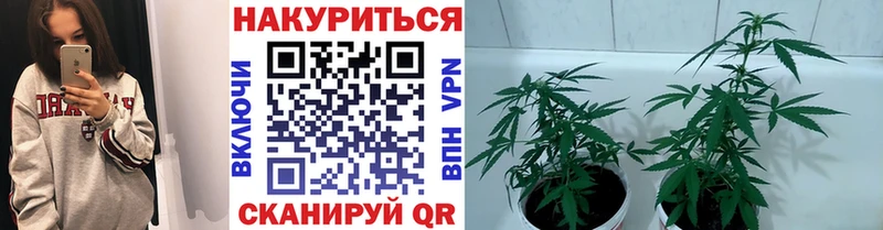закладка  Богданович  Бошки Шишки THC 21% 
